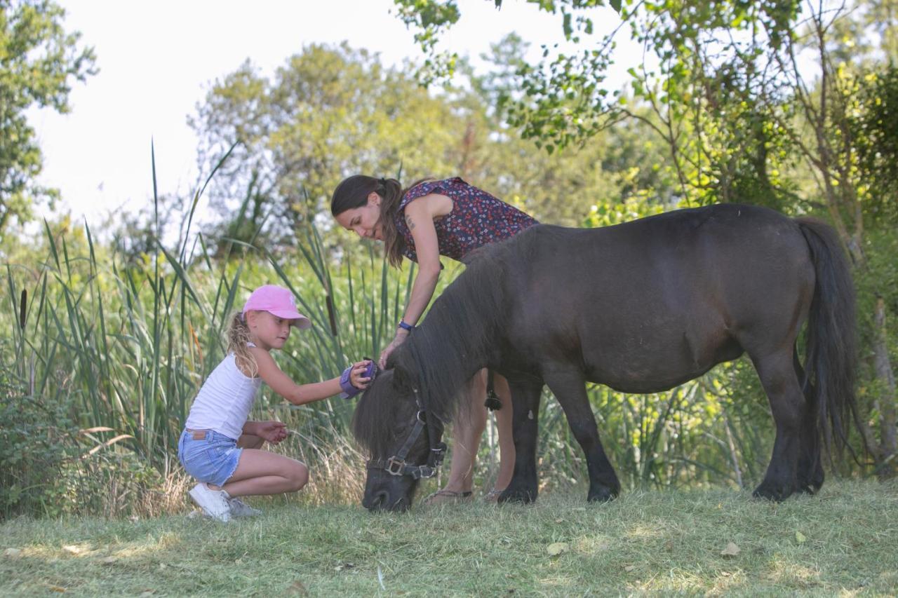 Village Vacances - Defiplanet' Dienne  ภายนอก รูปภาพ
