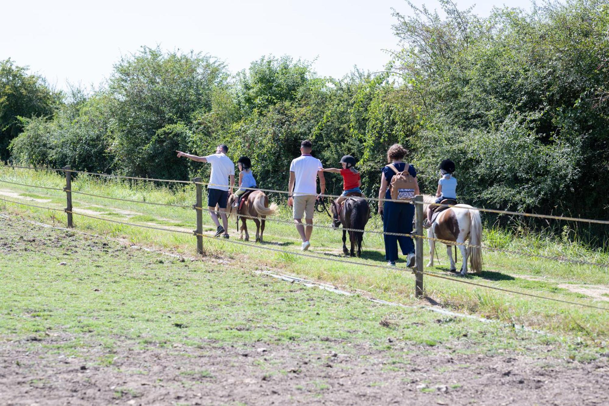 Village Vacances - Defiplanet' Dienne  ภายนอก รูปภาพ